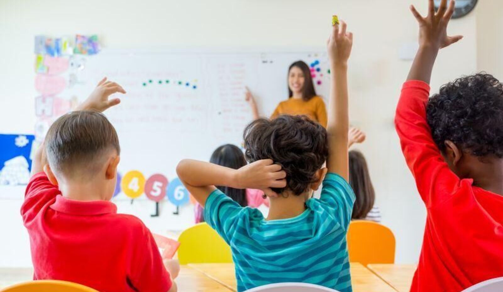 Build an inclusive school system, NYC